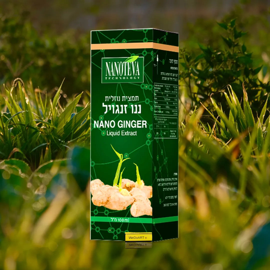 NANOTEVA - NANO GINGER liquid extract 100 ml NANOTEVA