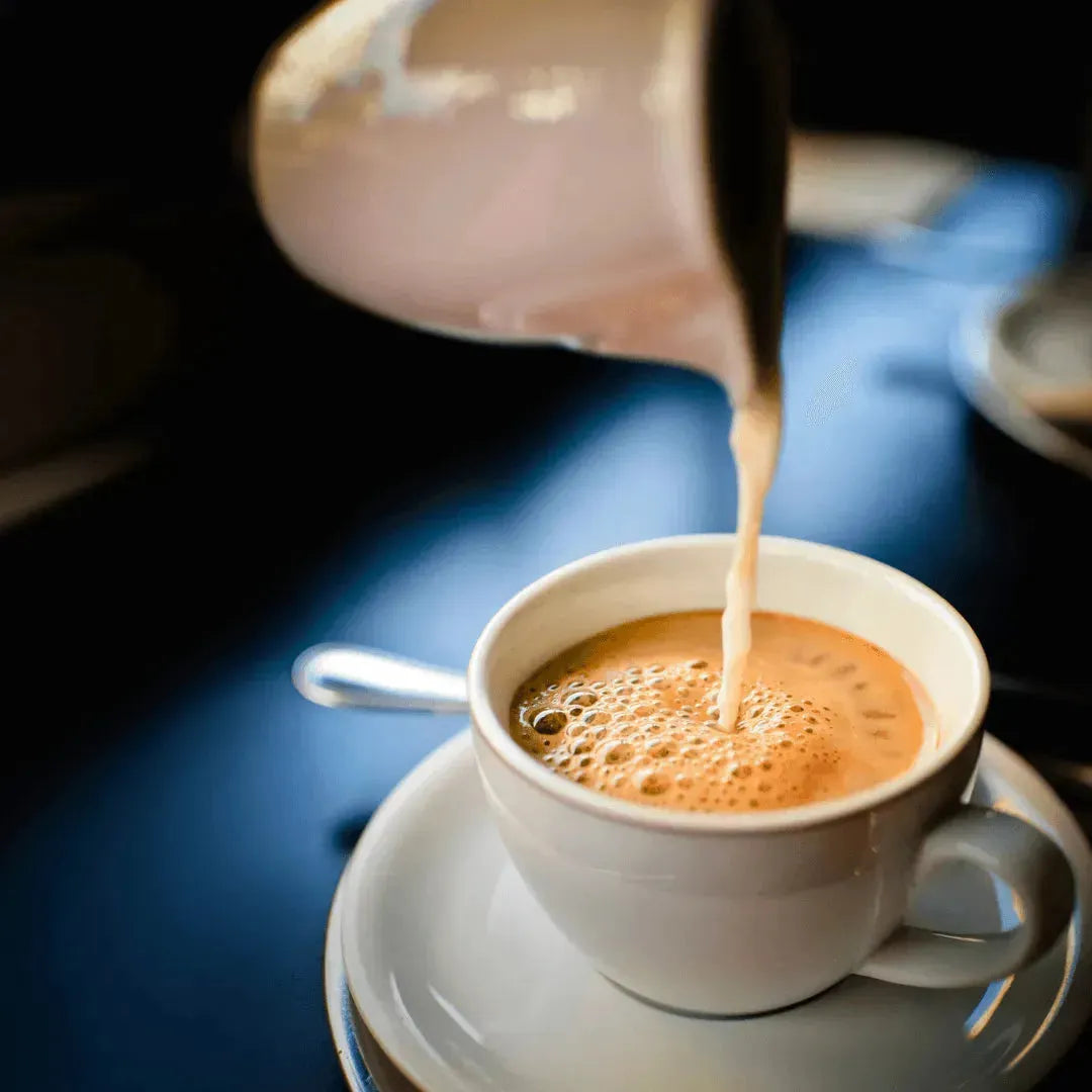 Tinc - Cafelogan Fish collagen plus instant coffee 30 packages Tincture Tech