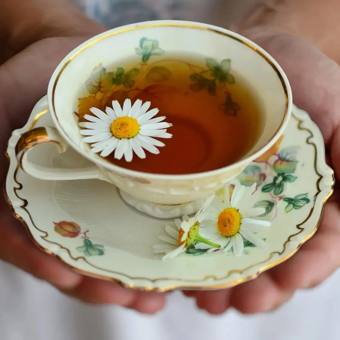 Bara - TAKE TEA TOX Bio-Kräutertee 20 Beutel Bara Herbs