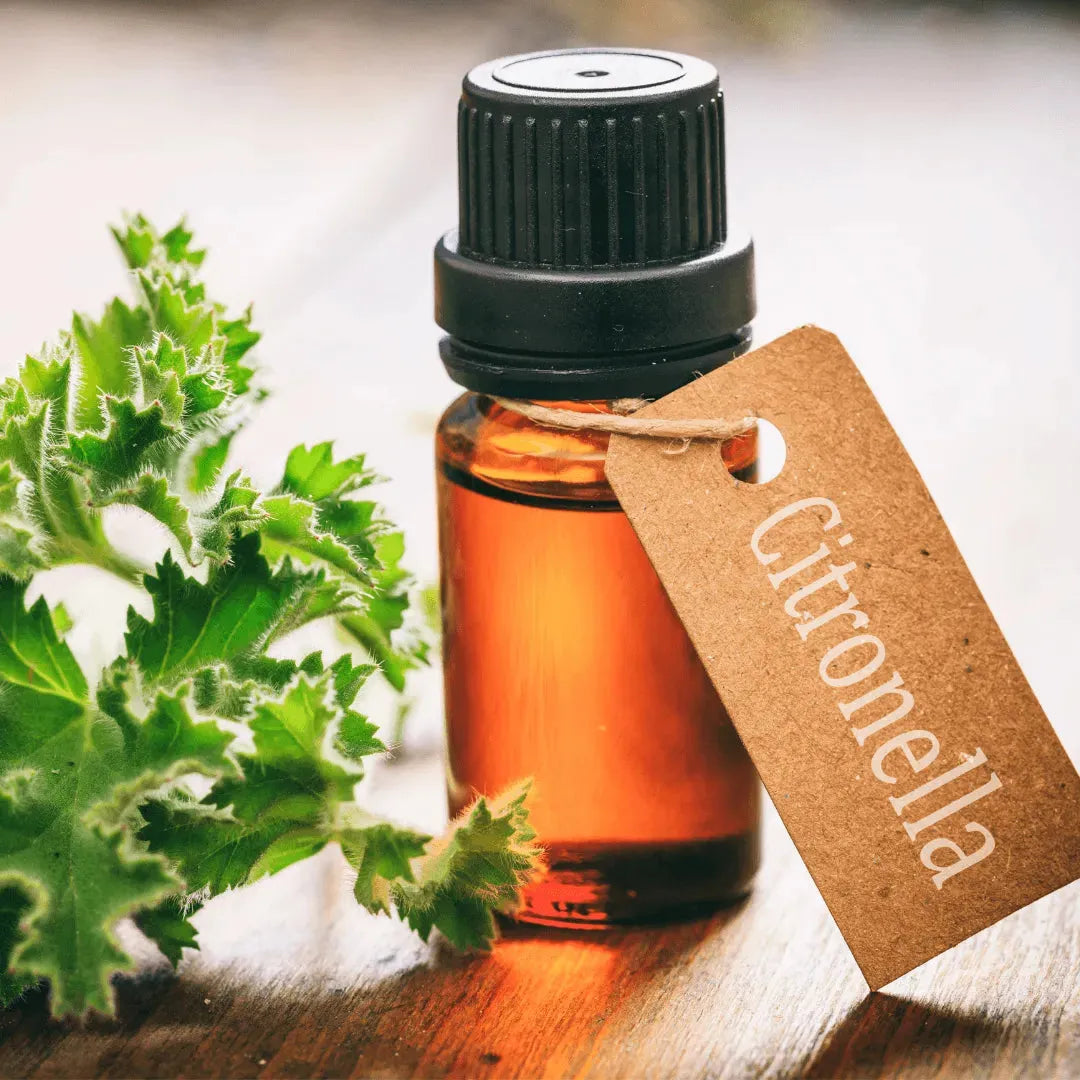 Roots - Essential oil - Citronella 10 ml ROOTS Botanical