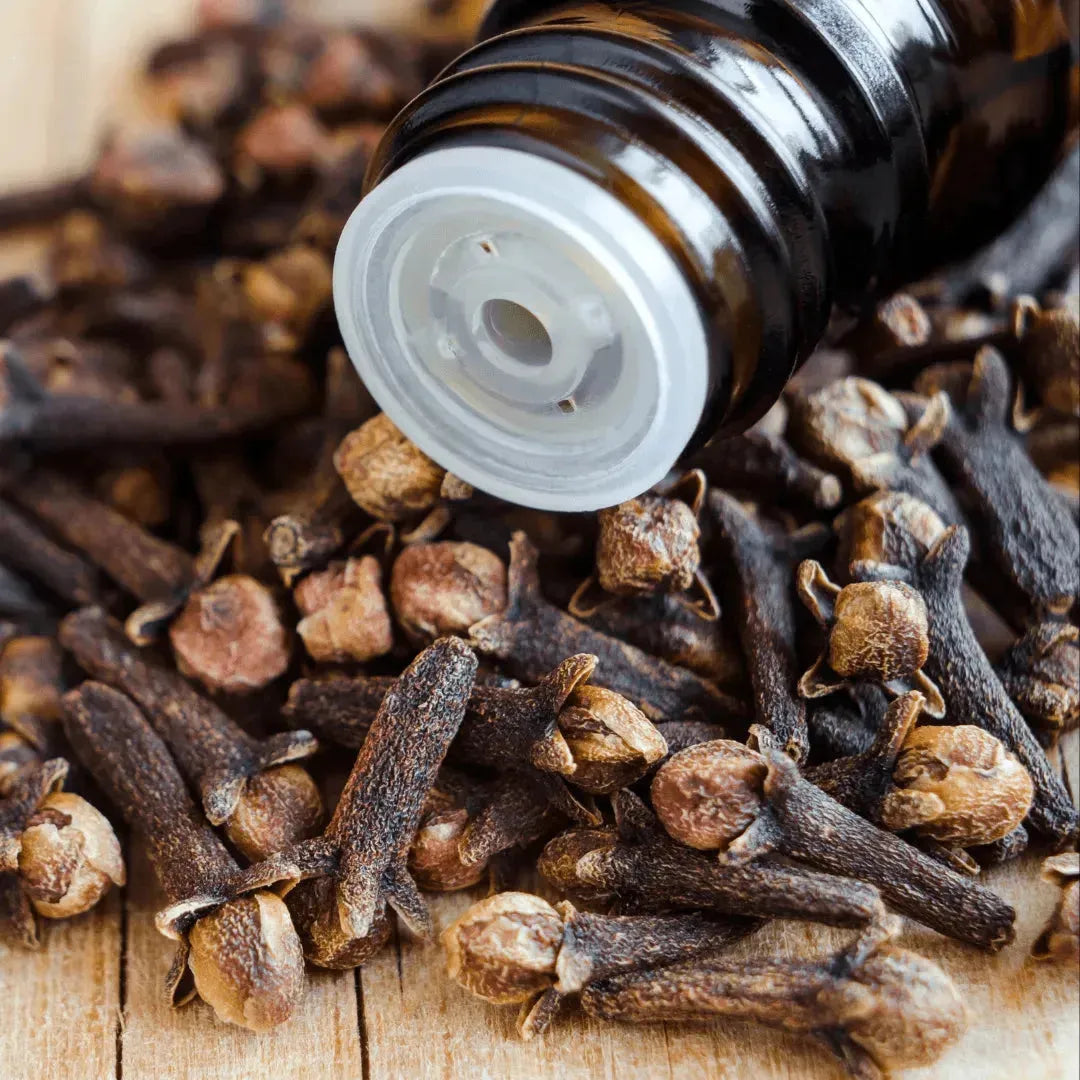 Roots - Essential oil - Clove 10 ml ROOTS Botanical