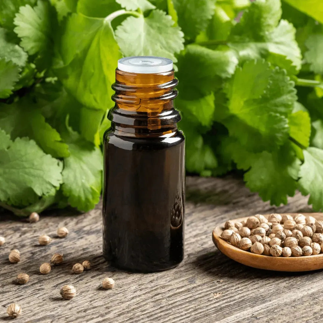 Roots - Essential oil - Coriander 10 ml ROOTS Botanical