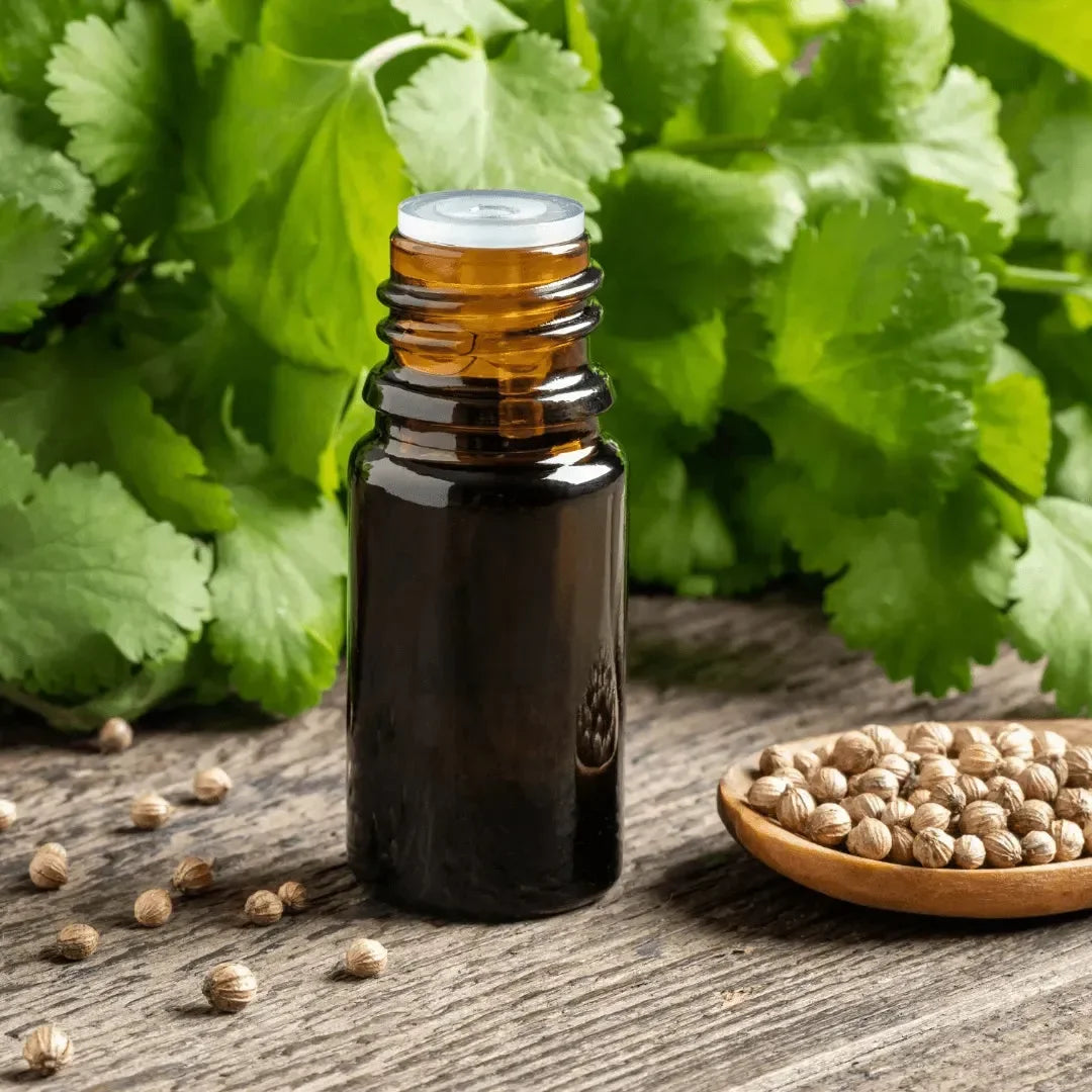 Roots - Essential oil - Coriander 10 ml ROOTS Botanical