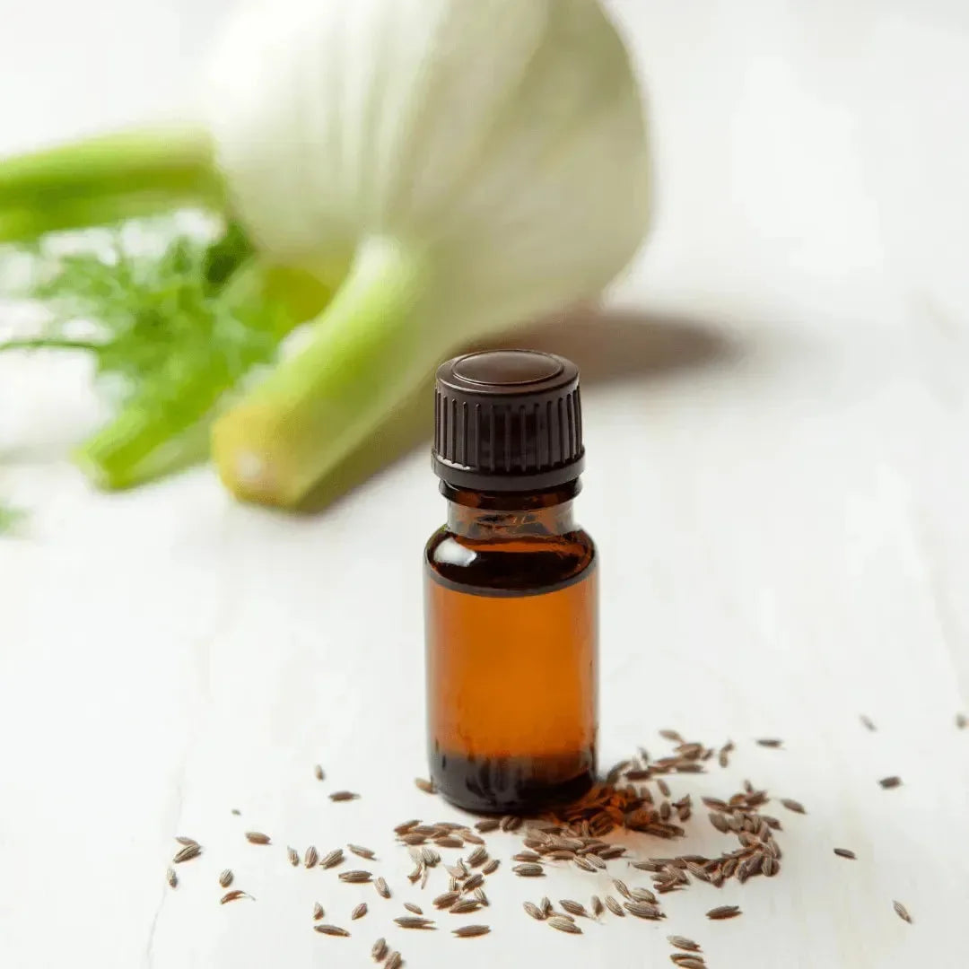 Roots - Essential oil - Fennel seed 10 ml ROOTS Botanical