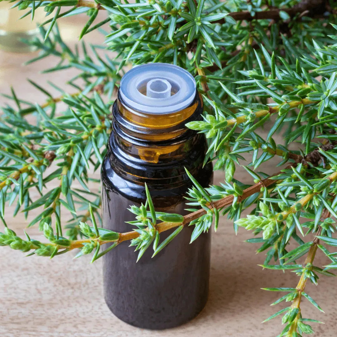 Roots - Essential oil - Juniper 10 ml ROOTS Botanical