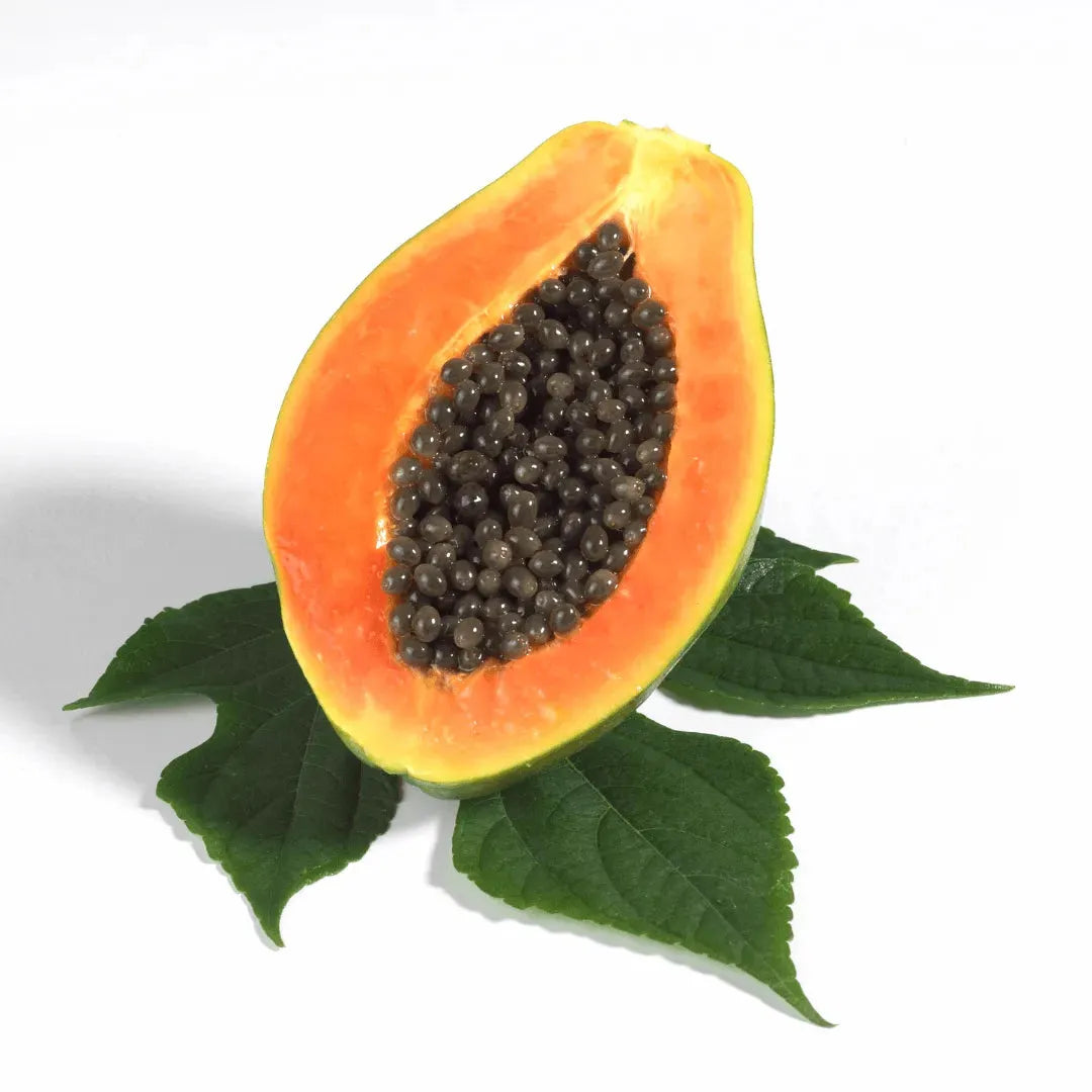 Roots - Essential oil - Papaya seed 10 ml ROOTS Botanical