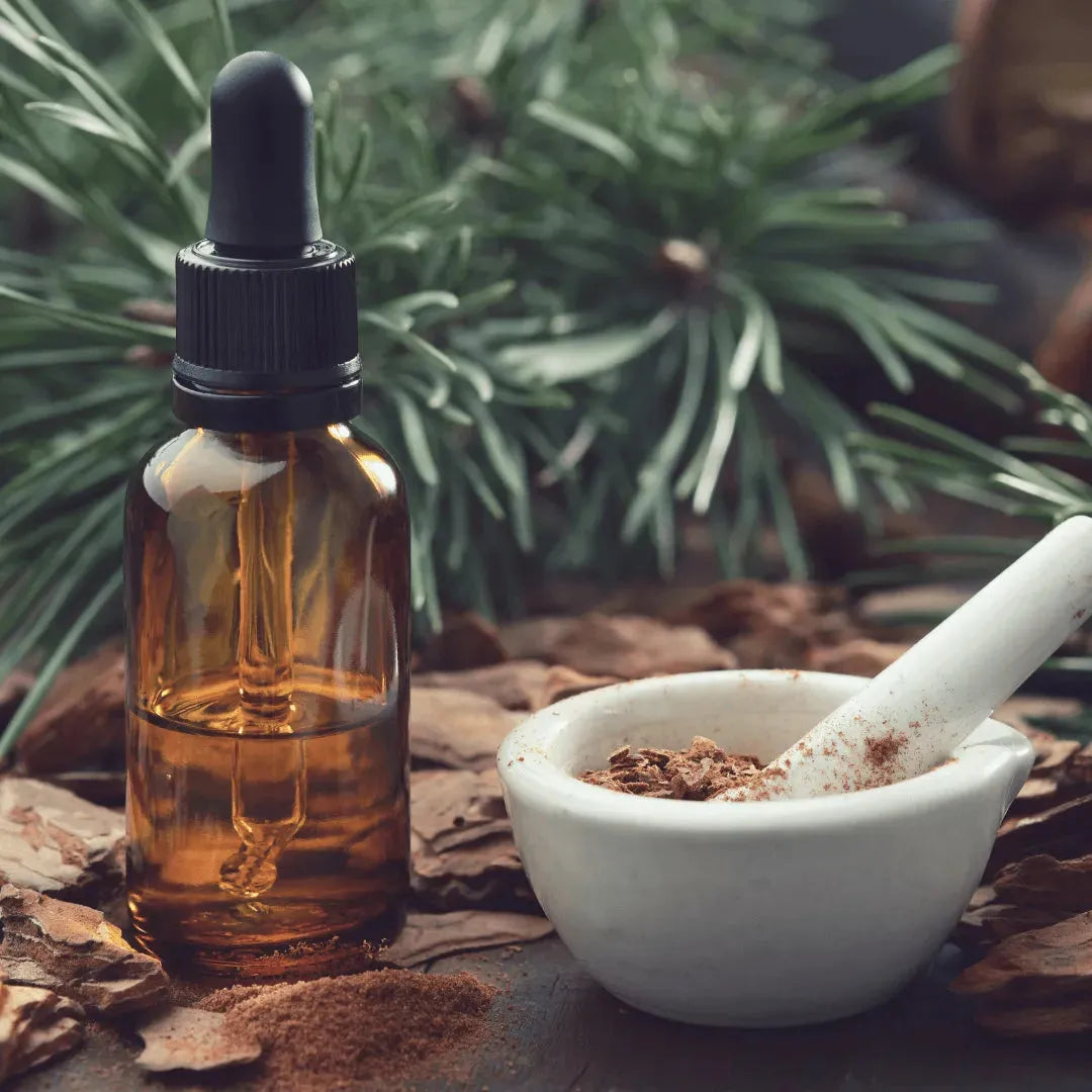 Roots - Essential oil - Pine 10 ml ROOTS Botanical