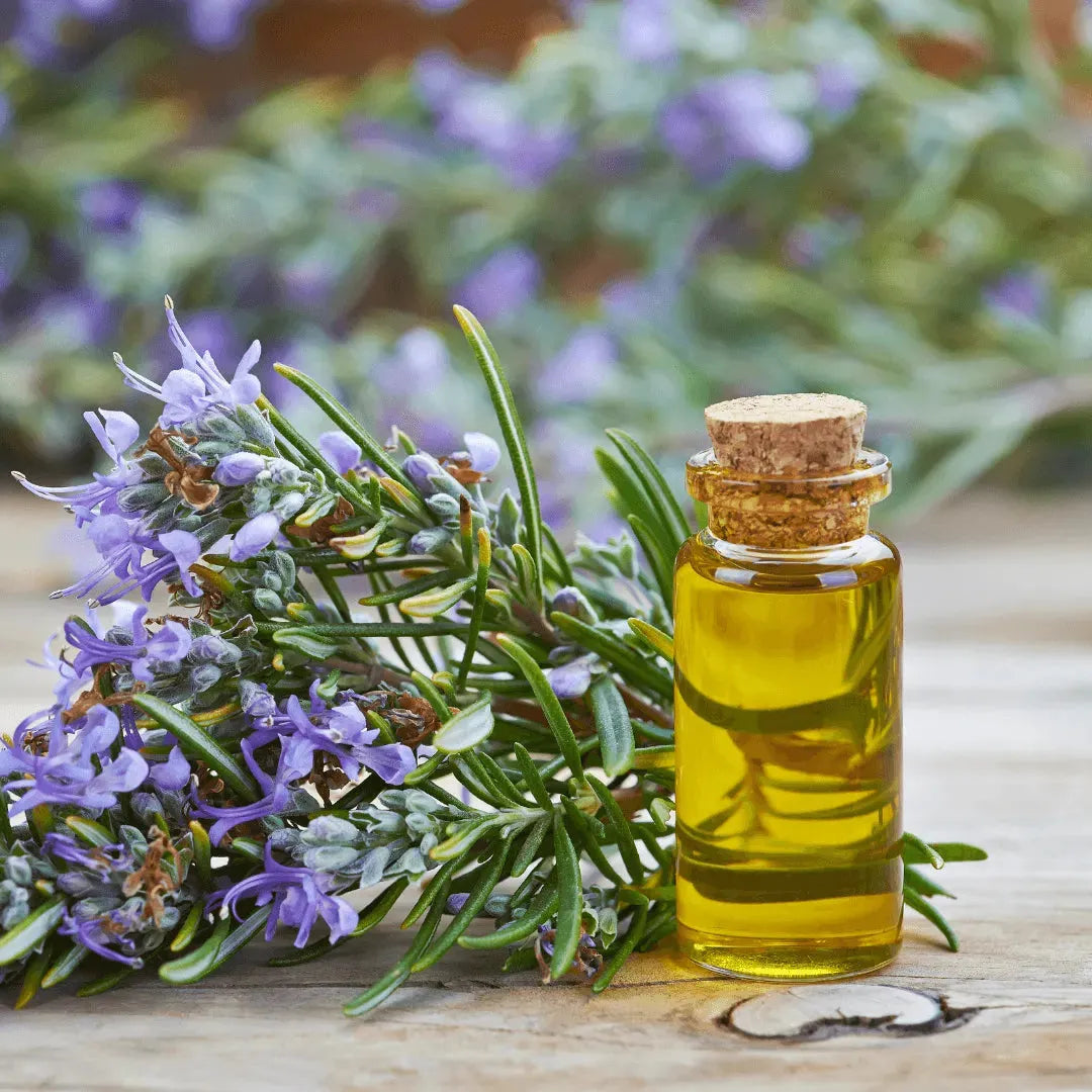 Roots - Essential oil - Rosemary 10 ml ROOTS Botanical