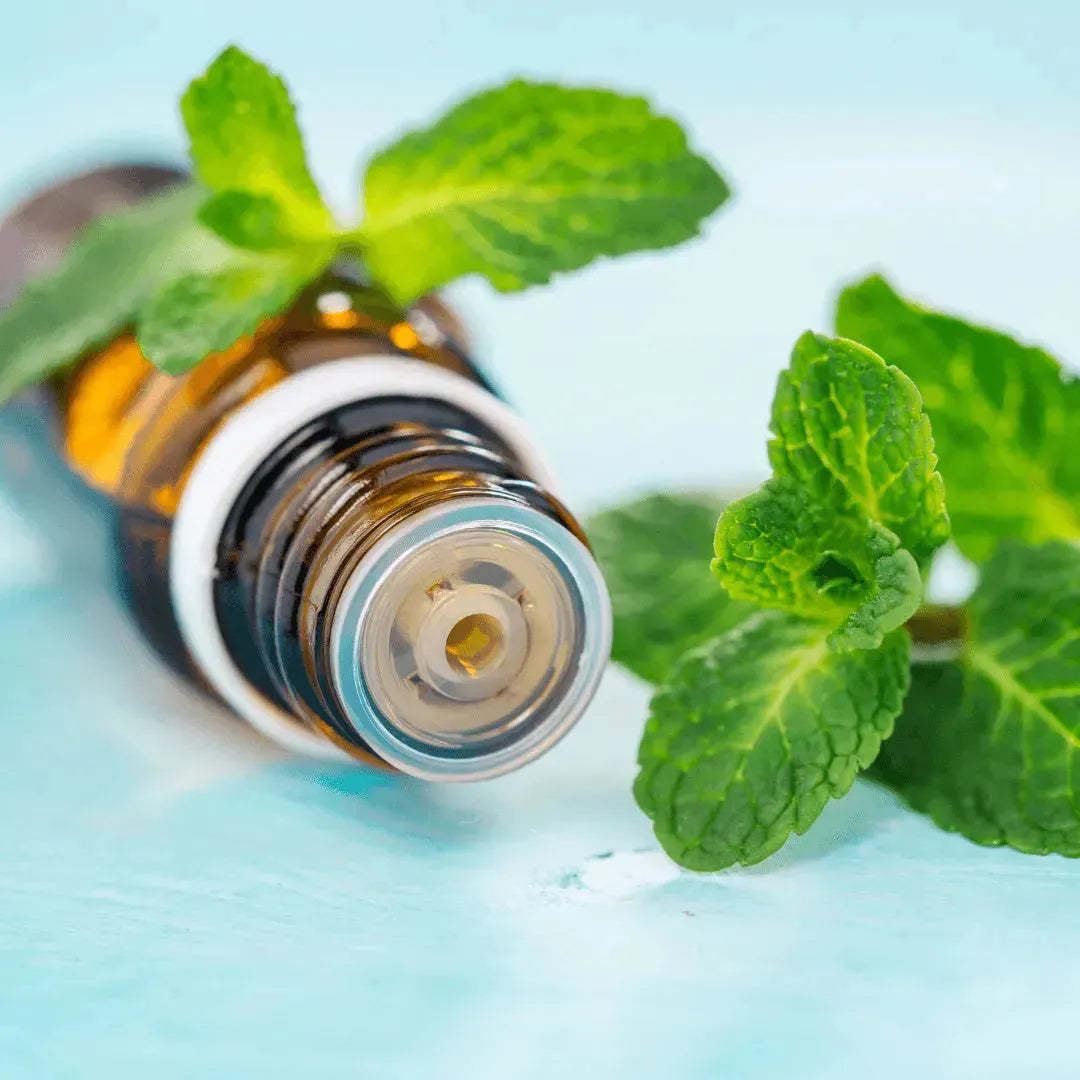 Roots - Essential oil - Spearmint 10 ml ROOTS Botanical