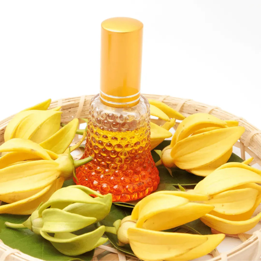 Roots - Essential oil - Ylang Ylang 10 ml ROOTS Botanical