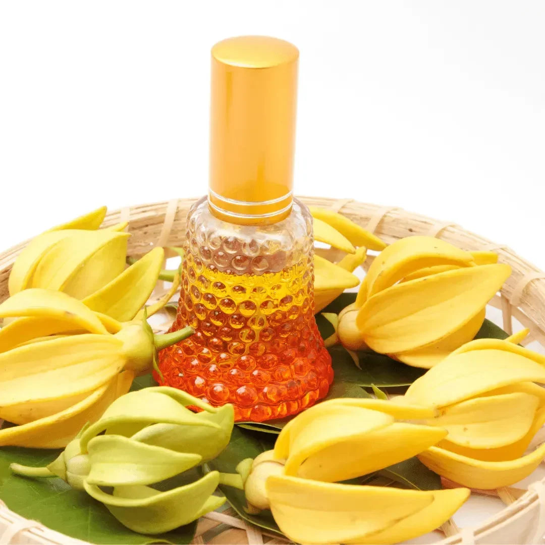Roots - Essential oil - Ylang Ylang 10 ml ROOTS Botanical
