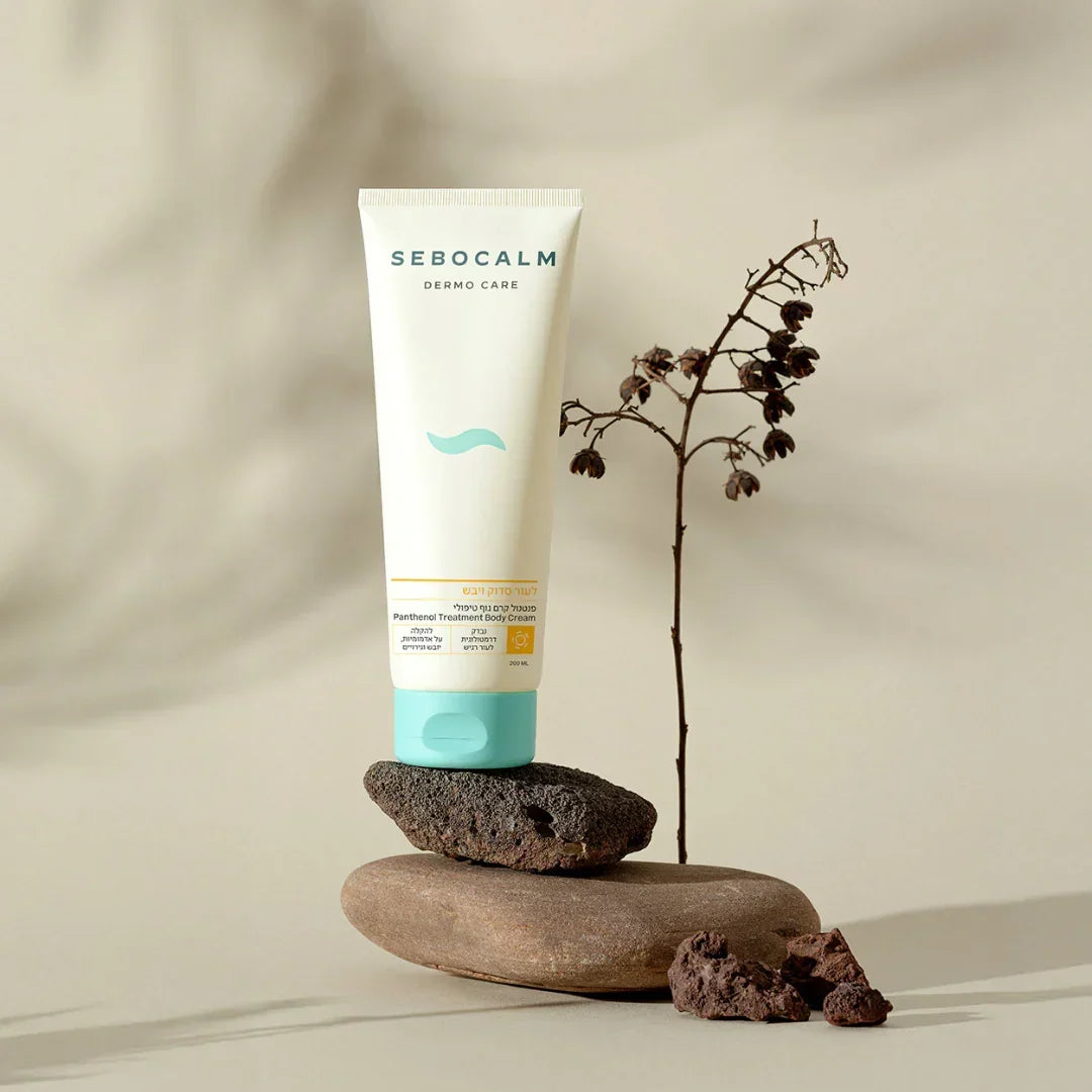 SeboCalm Dermo Care body cream tube standing on smooth stones beside a dried twig on a beige background