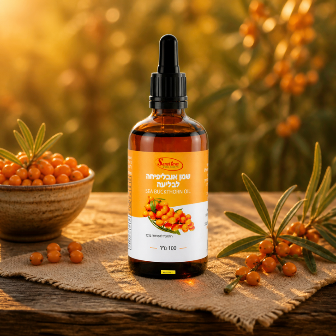 Sensiteva sea buckthorn oil bottle on a golden hour autumn harvest table with fresh sea buckthorn berries
