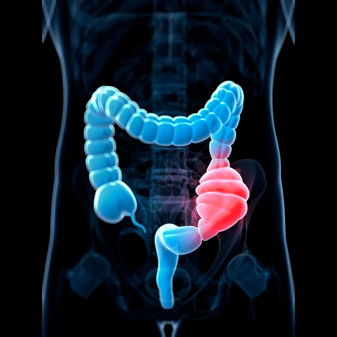 Solgar - FULL SPECTRUM Curcumin BACOMIND 60 capsules Solgar