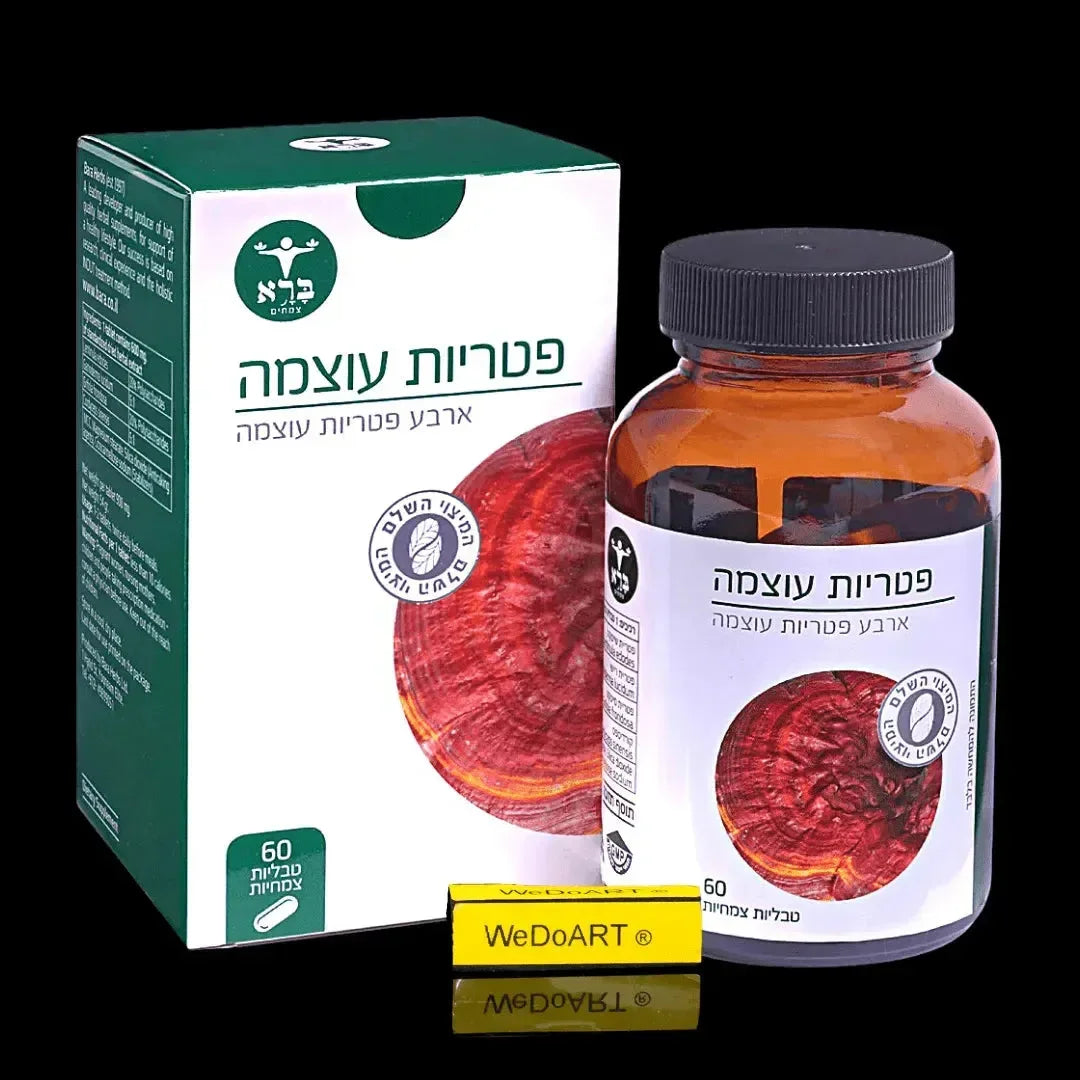 Bara Magen - Power Mushrooms 60 tablets Bara Herbs