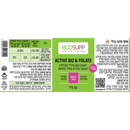 ecosupp  ACTIVE B12 & FOLATE 60 ml