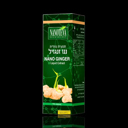 NANOTEVA - NANO GINGER liquid extract 100 ml NANOTEVA