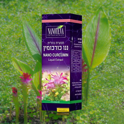 NANOTEVA - NANO CURCUMIN liquid extract 100 ml NANOTEVA