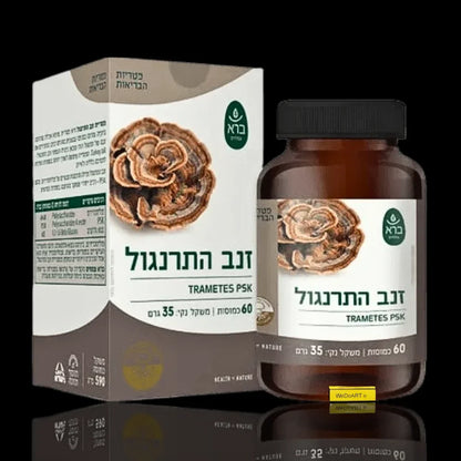 Trametes PSK mushroom supplement bottle and box, 60 capsules for immune support