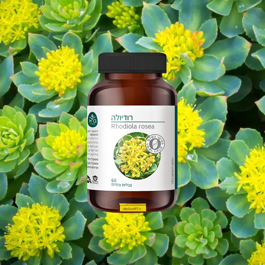 Bara - Rhodiola Rosea | 60 Tablets
