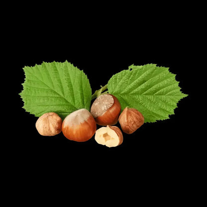 Whole and cracked hazelnuts with green serrated leaves on a black background