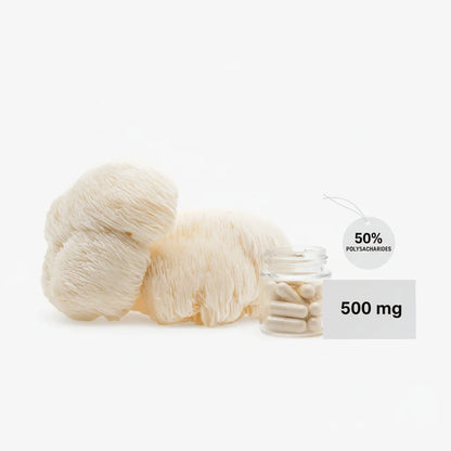 NUTRI CARE - Lion's Mane - Hericium 60 capsules Nutri Care