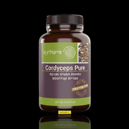 Mycolivia Cordyceps Pure 90 vegan capsules bottle on a dark background with reflection