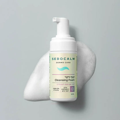 Sebocalm Dermo Care Cleansing Foam for Oily Skin 100 ml Sebocalm for sensitive skin