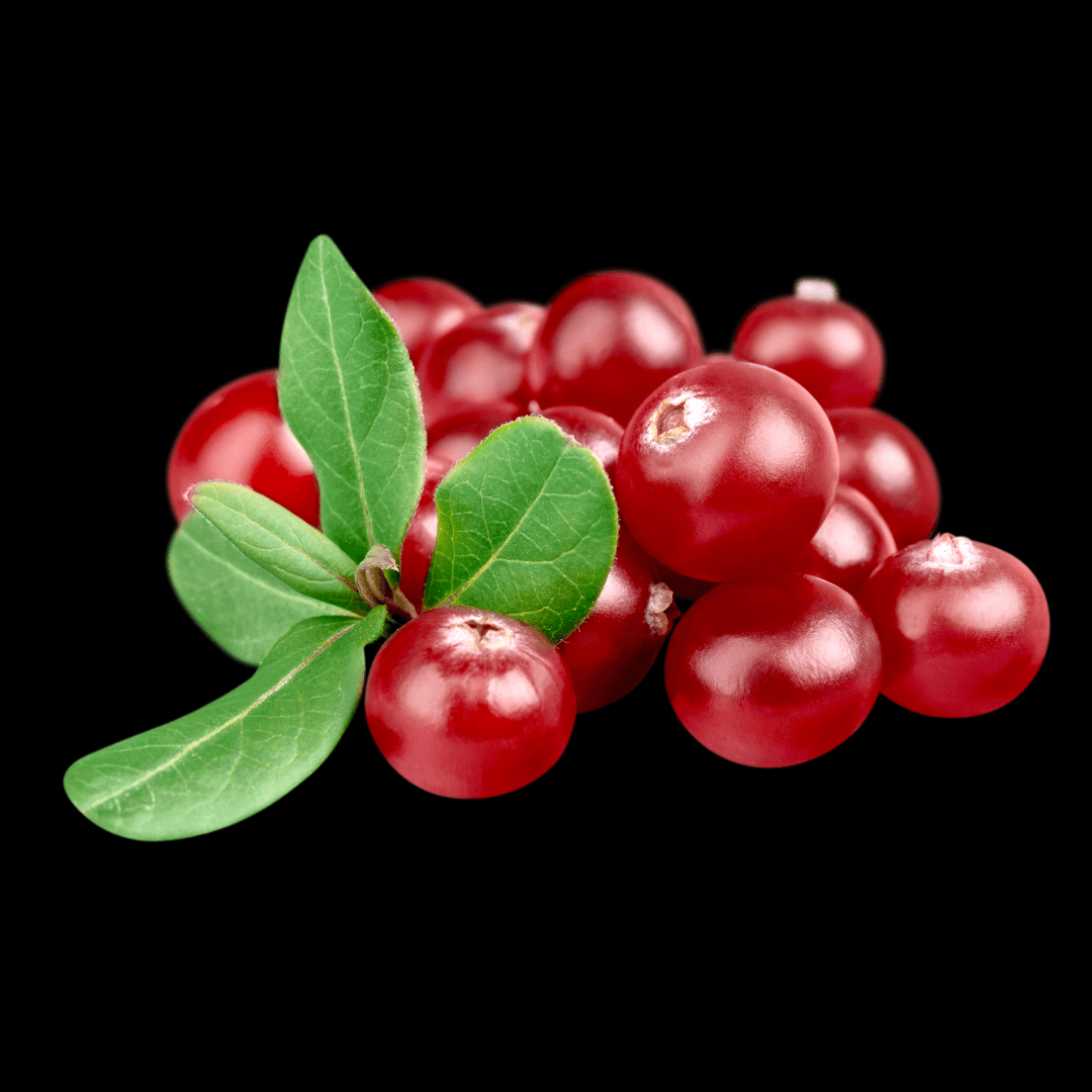 Secrets of the East - Brinose di-mannose plus cranberry powder 60 capsules - WEDOART-IL
