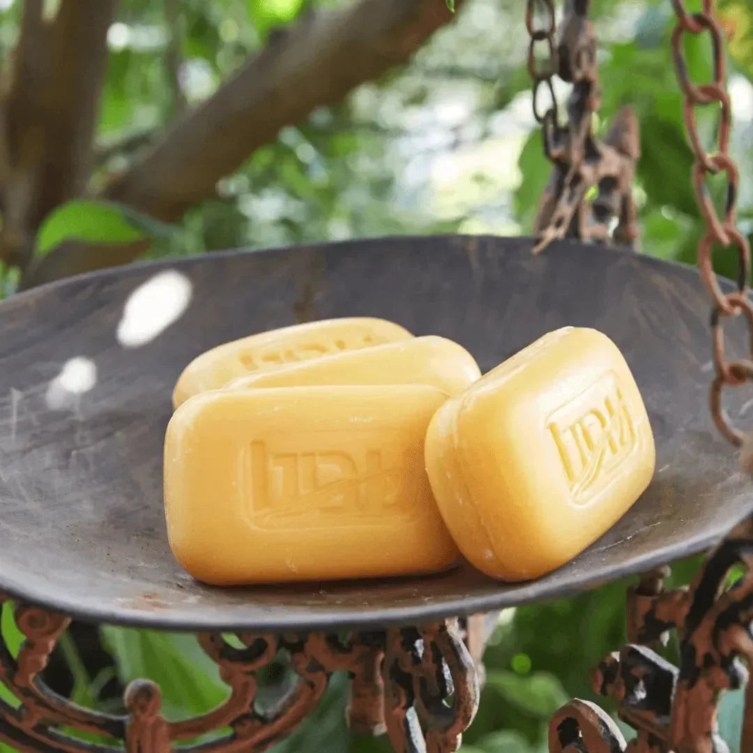 Three orange SHAVIT buckthorn soap bars on a rustic metal dish with green leaves