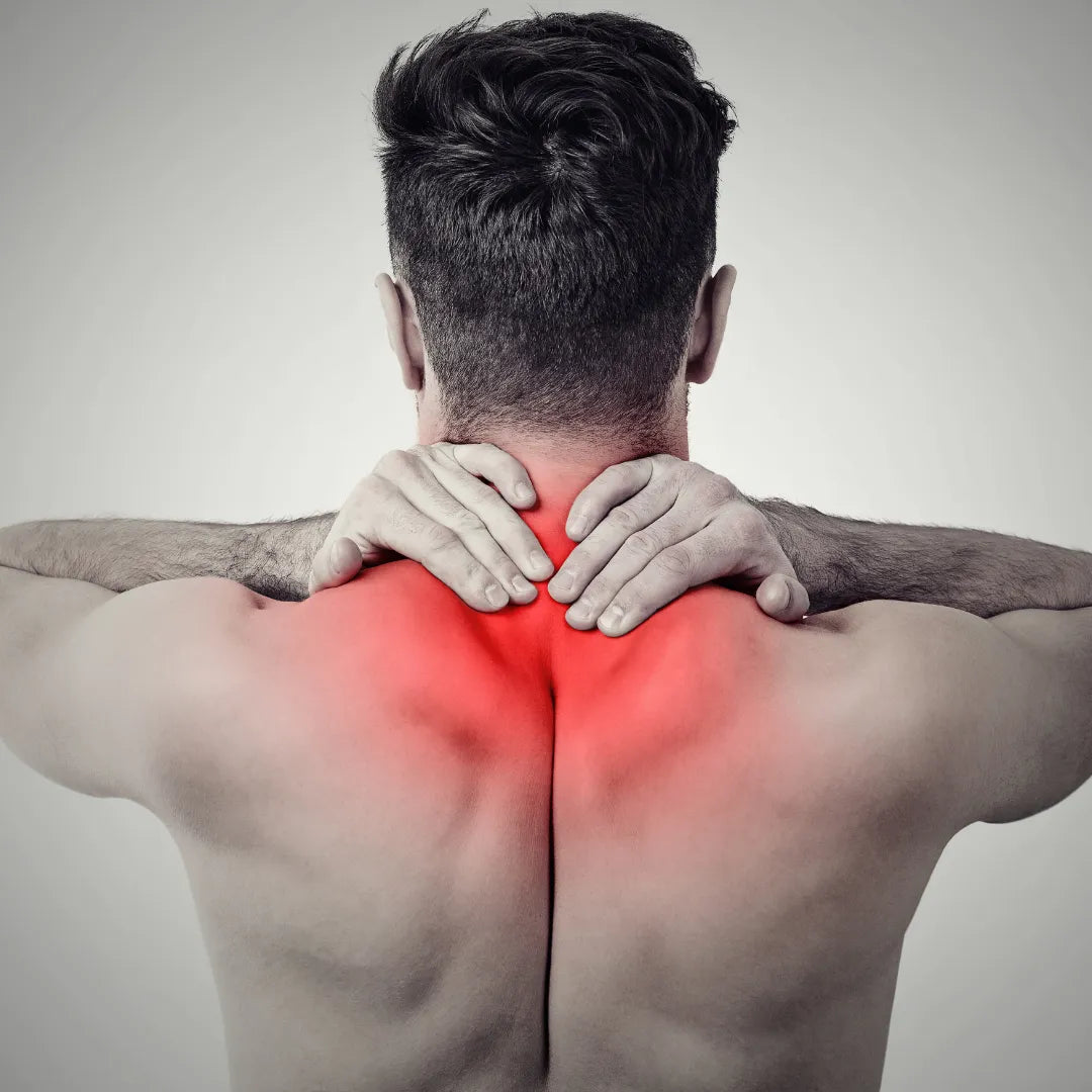 Tiger Balm White Ointment with Mint Scent for Temporary Relief of Muscle Pain 19 Gram RAFA LABORATORIES