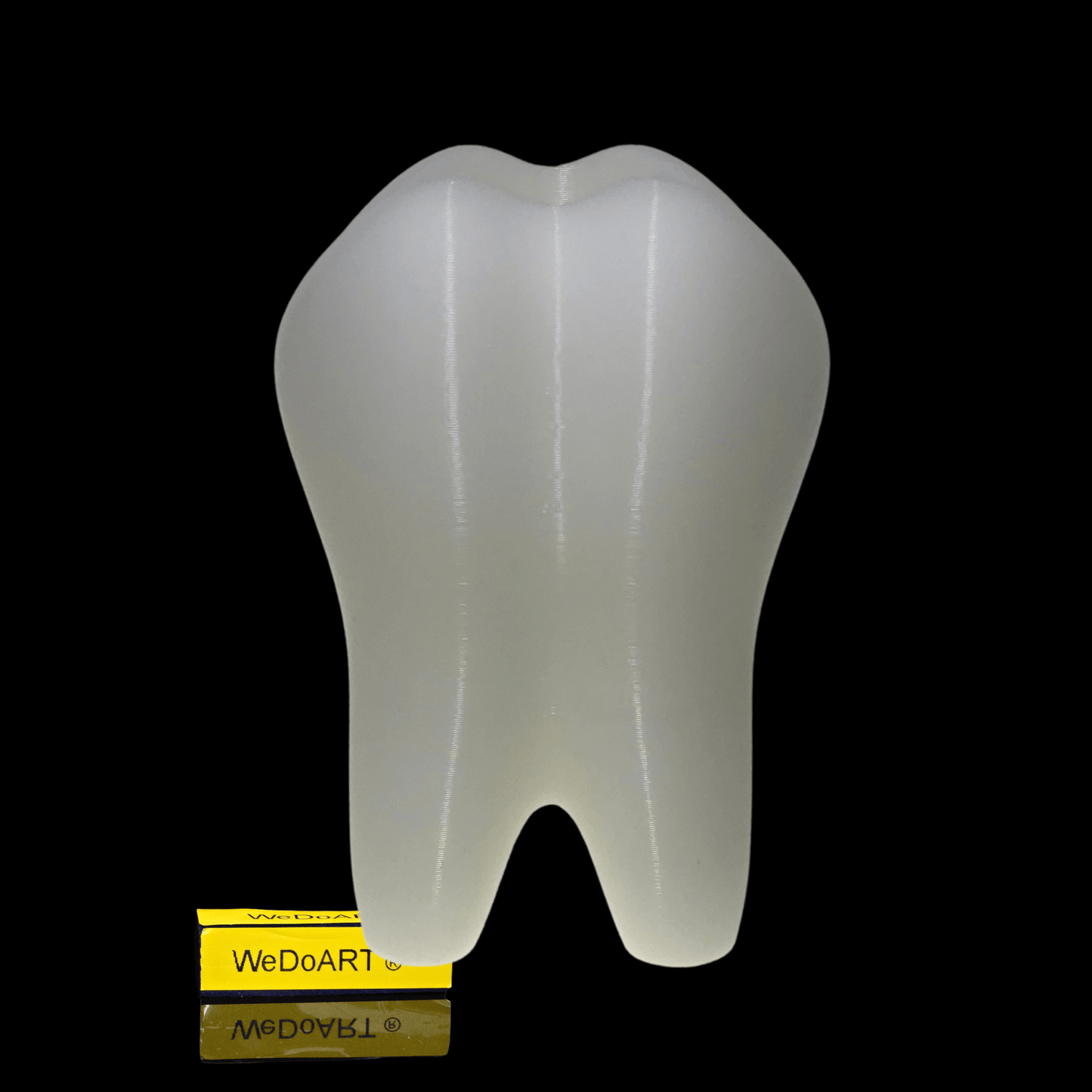 Tooth Toothbrush Holder 3D print - WEDOART-IL
